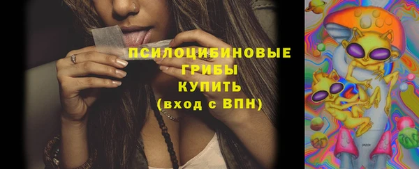 стаф Алексин