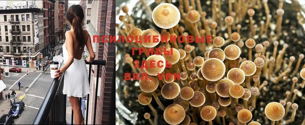 герыч Абаза