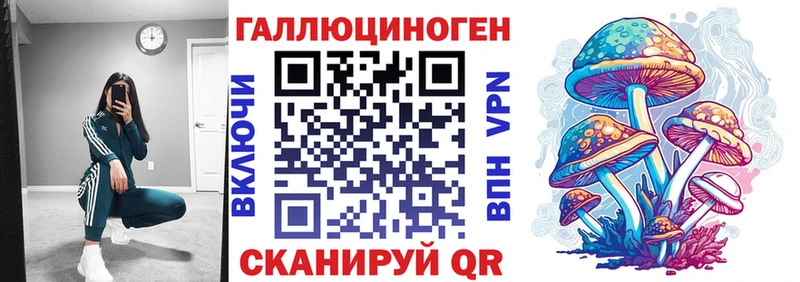 darknet официальный сайт  ссылка на мегу как зайти  Суджа  купить  сайты  Галлюциногенные грибы Psilocybe 