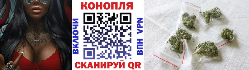 Бошки марихуана OG Kush  Суджа 